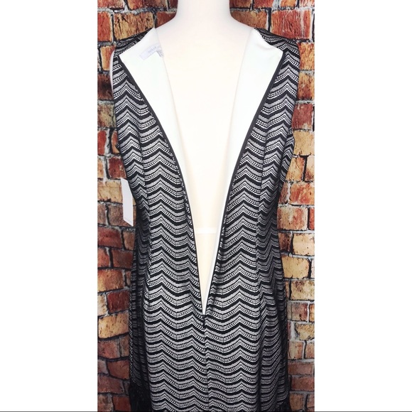 Julia Jordan Illusion Fringe Bodycon Lace Dress - Picture 8 of 9